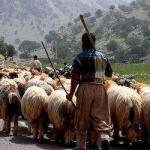 اوضاع سیاسی ایران در آستانه قیام عشایر جنوب      