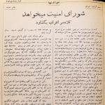 شورای امنیت می‌خواهد کلاه سر اعراب بگذارد