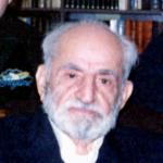 مبارز آرام  