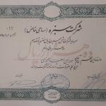 شرکت سبزه ؛ پوشش تفریح برای مبارزه
