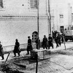 نواب صفوی لحظاتی قبل از شهادت 