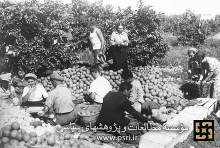 پشت پرده تجارت شاه با اسرائیل چه بود
