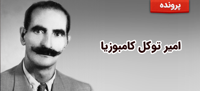 امیر توکل کامبوزیا
